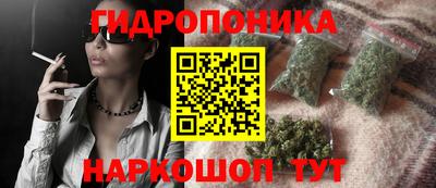 apvp Славгород