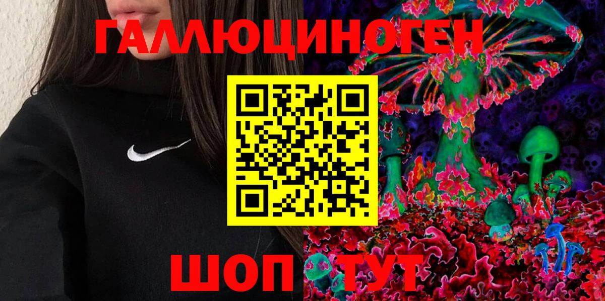 Галлюциногенные грибы Cubensis  Вход с VPN  Отрадное  Псилоцибиновые грибы MAGIC MUSHROOMS 