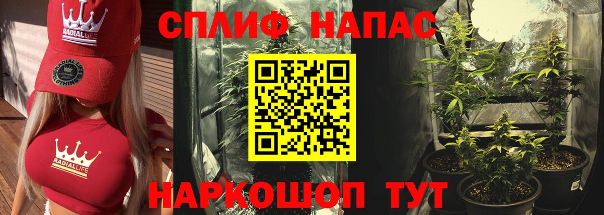 Канабис план  Бошки марихуана ГИДРОПОН  МАРИХУАНА AK-47  Вход с VPN  Отрадное 